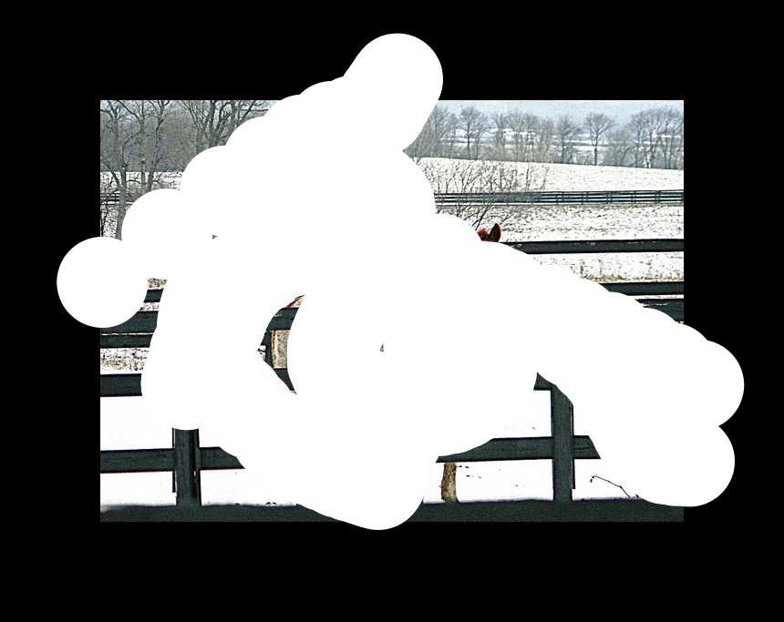 In this image i can see a horse in brown and white color standing in a snow, there is a wooden fencing, at the background i can see a dried trees and a sky in blue color.